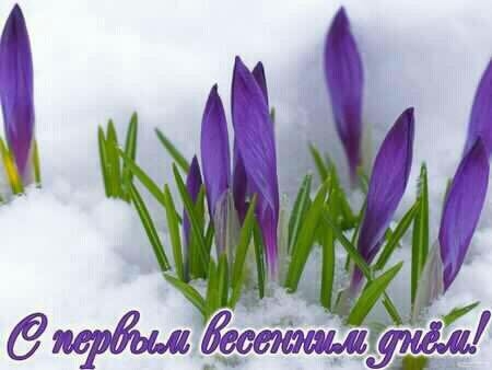 Набиева Рона